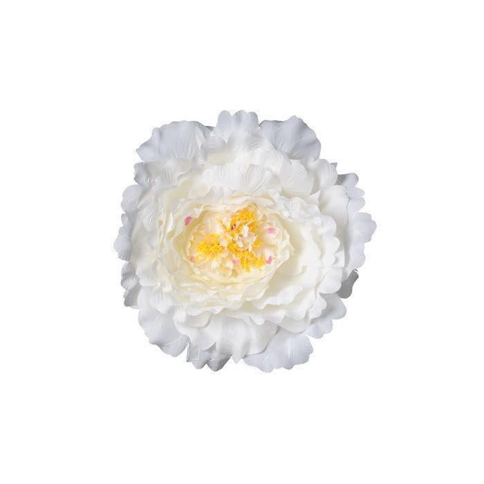 TESTA PEONIA XXL D48 CREMA